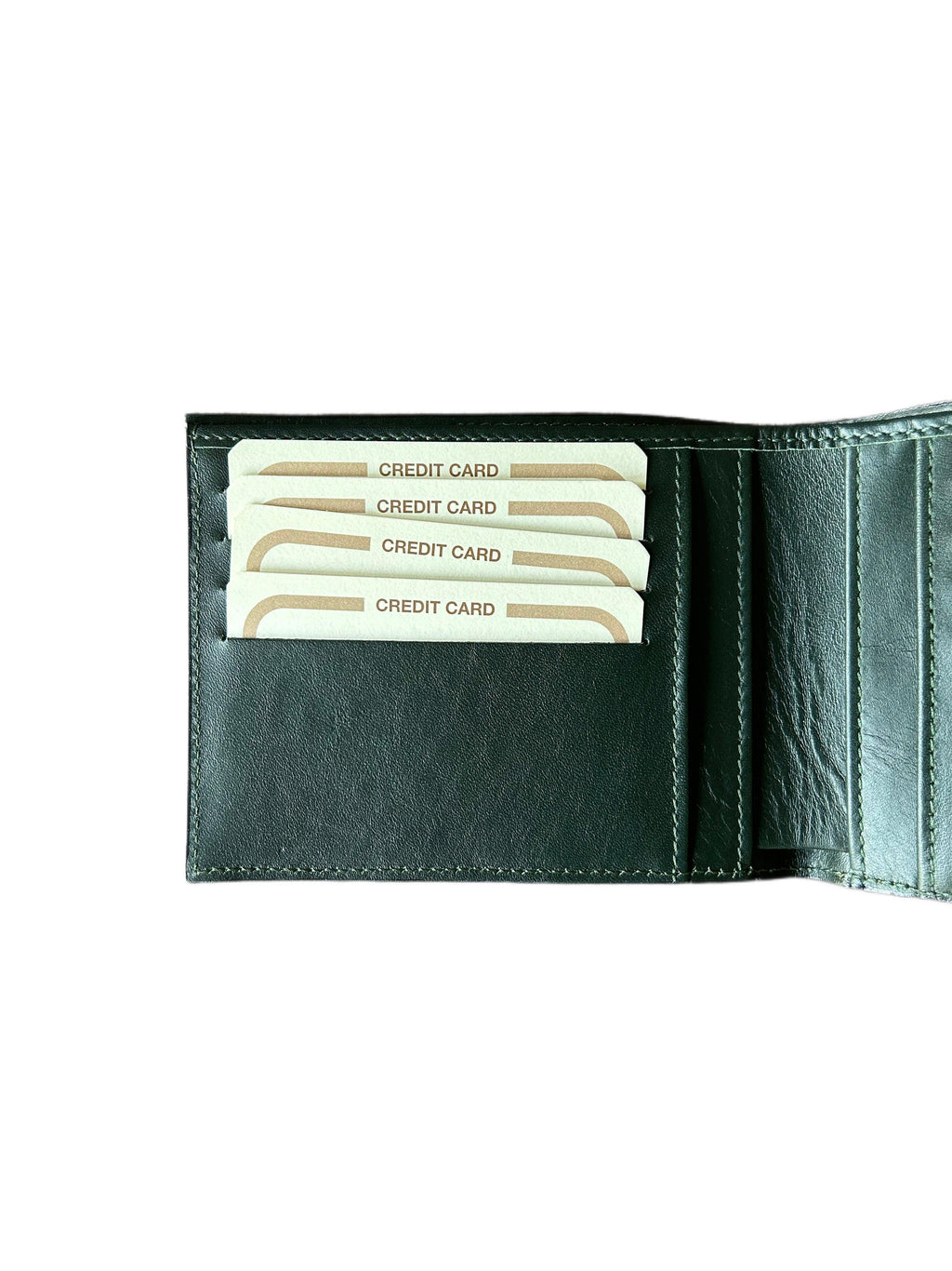 Crocodile Wallet