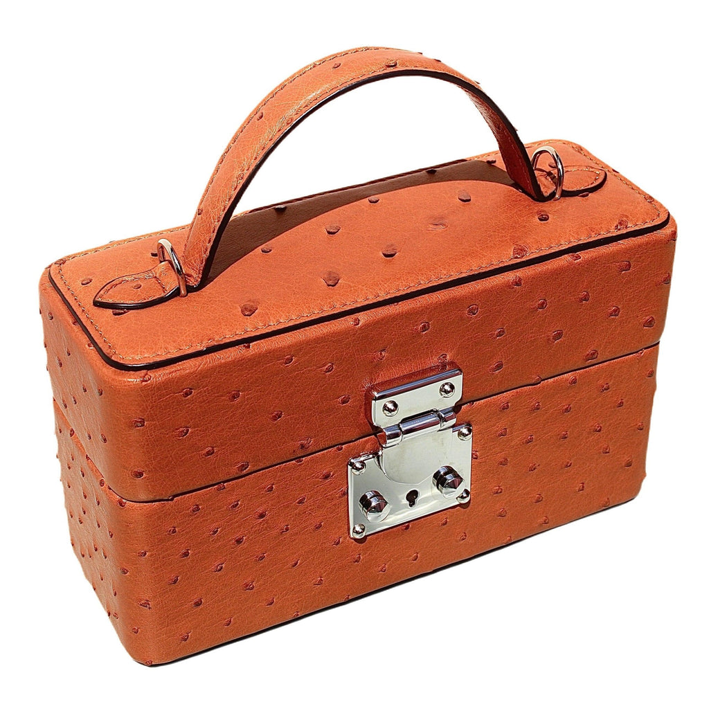 The Mirror Handbag in Ostrich