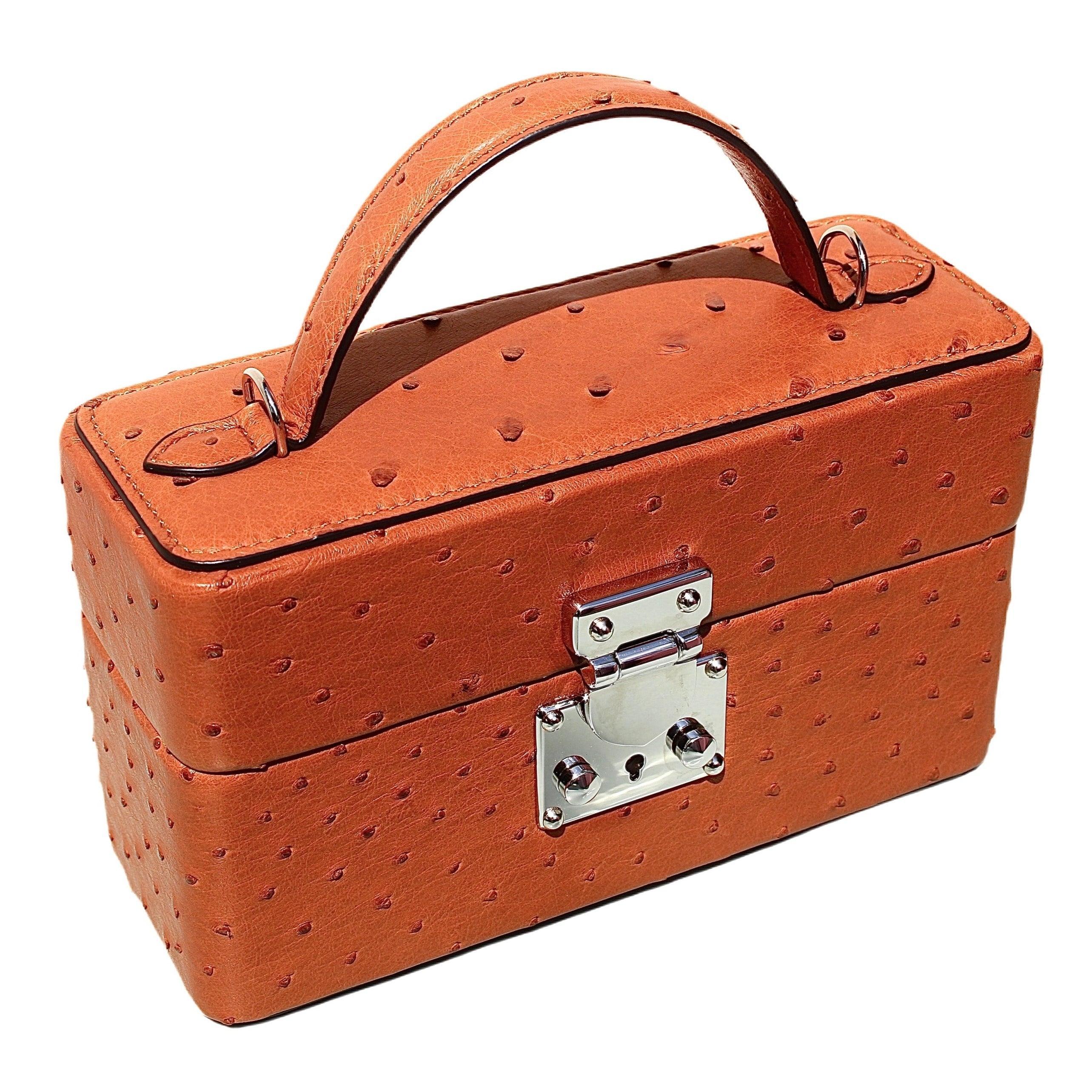 The Mirror Handbag in Ostrich
