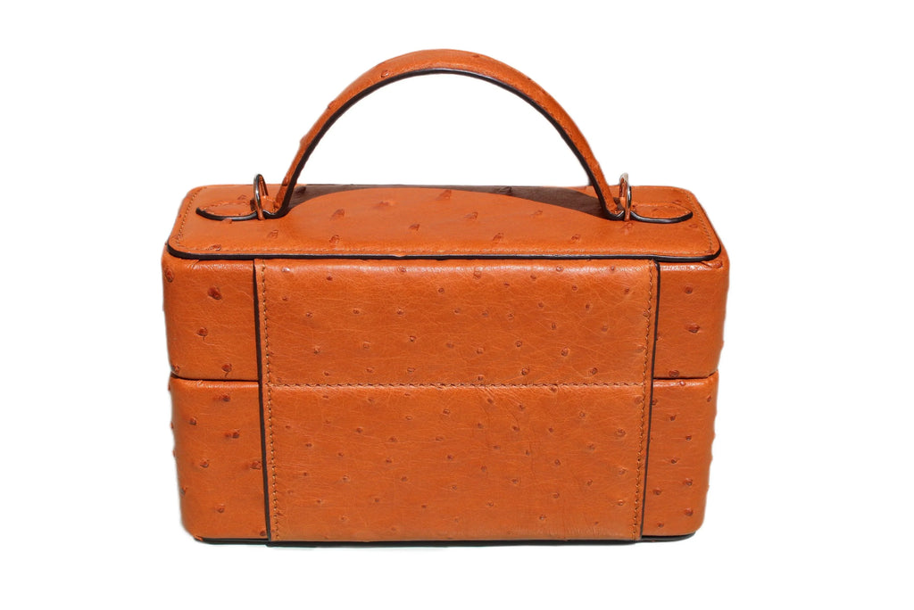 The Mirror Handbag in Ostrich