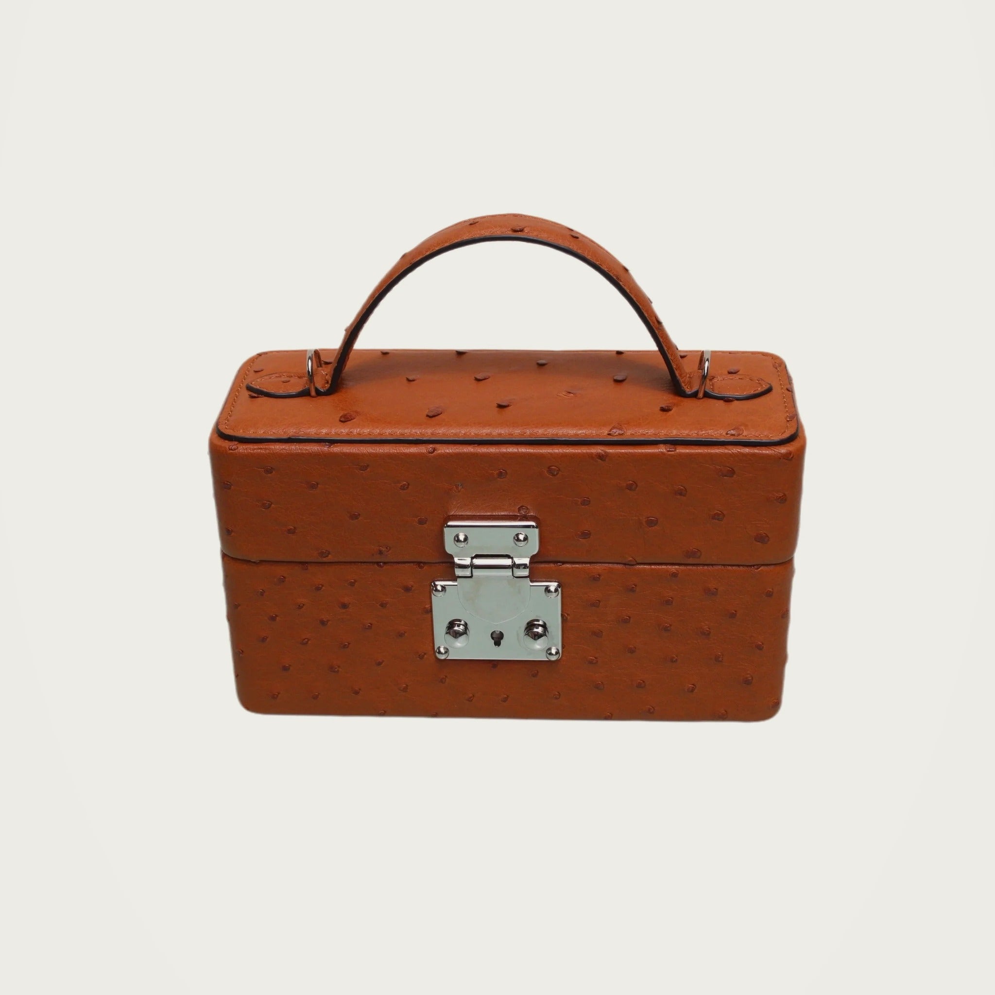 The Mirror Handbag in Ostrich on an ivory studio ground