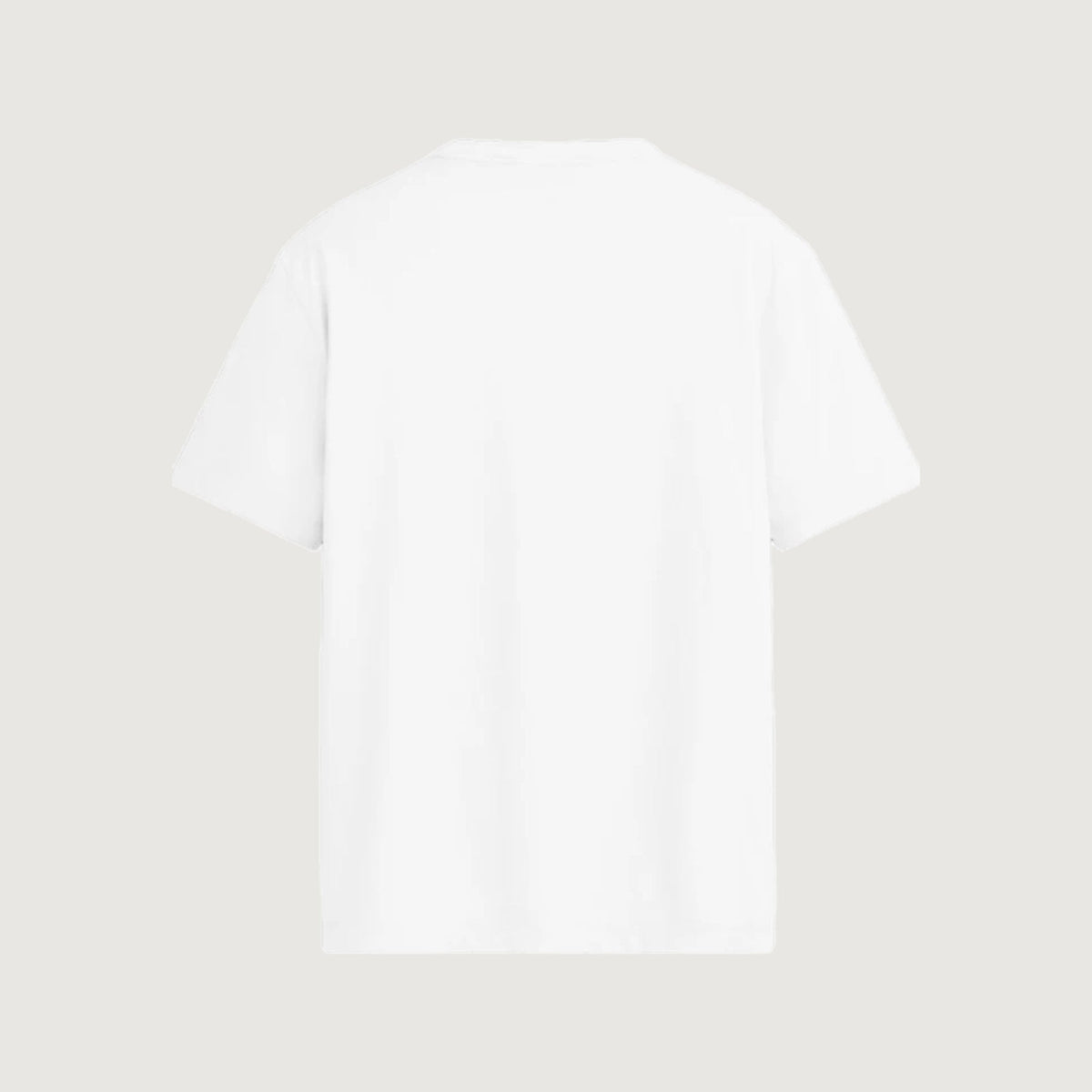 The Embroidered T-Shirt in white, back, left plain